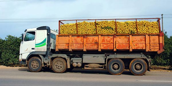 Truck load of oranges